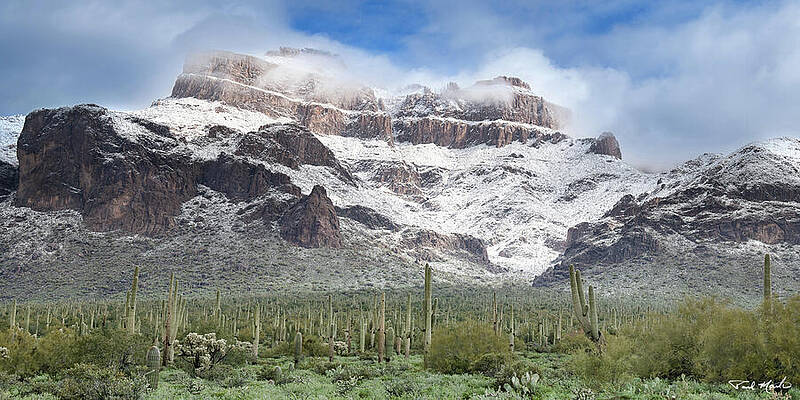 Arizona Photograph - Snowy Desert. by Paul Martin