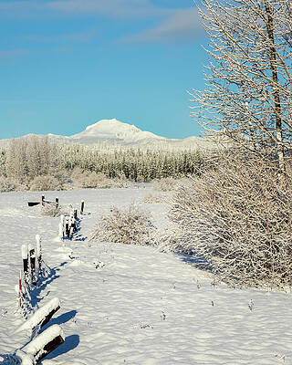 California Wall Art featuring the photograph Snowy Fence Line To Mount Lassen - Chester California by Mike Lee