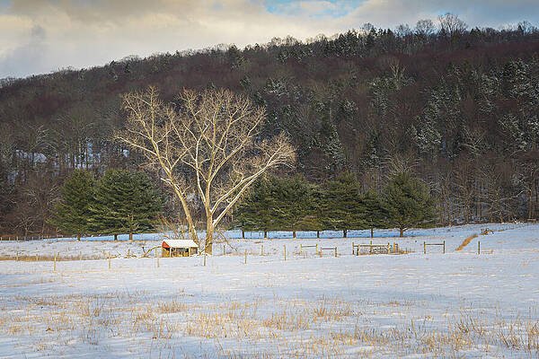 Winter Wall Art featuring the photograph Snowy Field At Sunset by Dave King