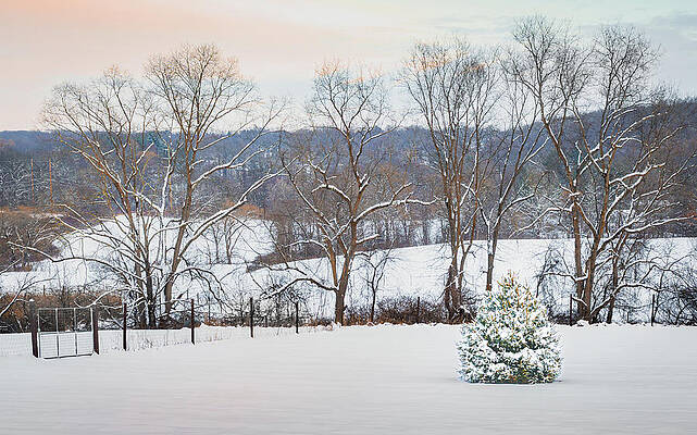 Winter Landscape with Snowy Trees Wall Art