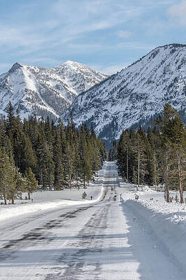 Snowy Mountain Road Scene Wall Art