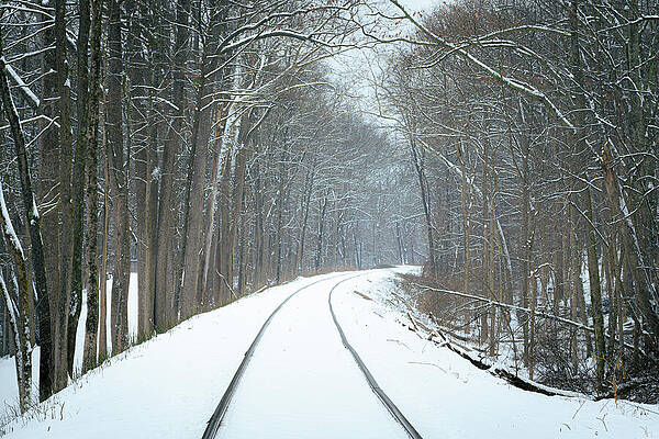 Outdoors Photograph - Snowy Tracks by Dave King