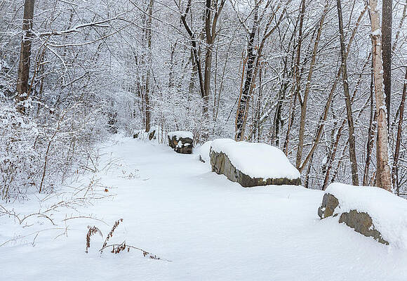 Nature Wall Art featuring the photograph Snowy Trail by Dave King