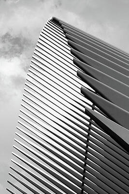 Architecture Wall Art featuring the photograph Soaring Lines Of Oculus, Black And White by Elvira Peretsman