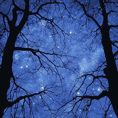 Starry Night with Tree Silhouettes Digital Art