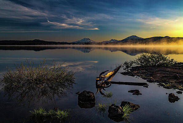 Nature Photograph - Softly Side Lit by Tim Lyden