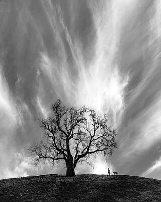 Lonely Tree and Strolling Figure Wall Art