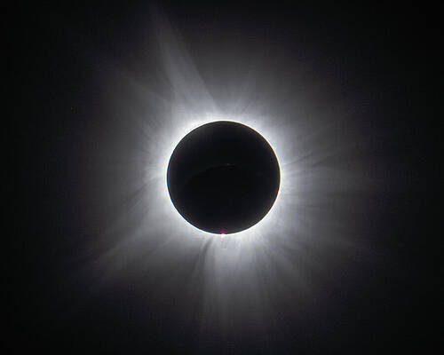 Solar Corona 2024 by Bruce Feagle