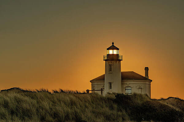 Oregon Photograph - Solar Shield by Tim Lyden