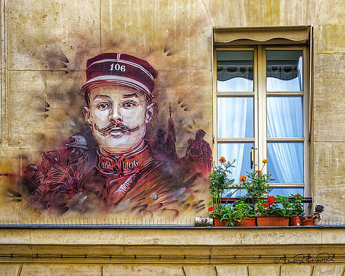 Flower Photograph - Soldier by Steven Dos Remedios
