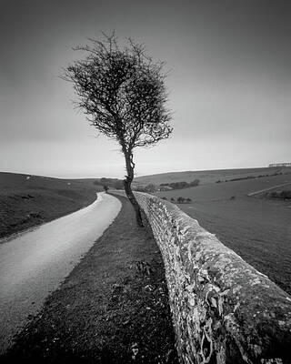 Sky Photograph - Solitude In Stillness by Will Gudgeon
