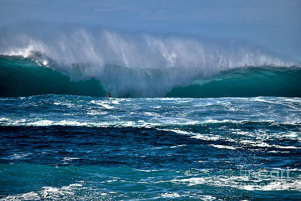 Wall Art featuring the photograph Solo Surfer by Debra Banks