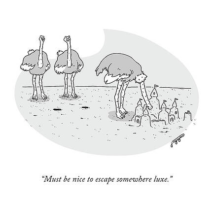 Ostriches Observing Sandcastles Drawing