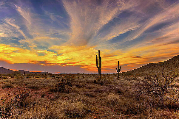 Arizona Photograph - Sonoran Sunset by Bob Falcone