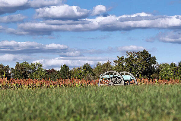 Sky Wall Art featuring the photograph Sorghum's Companion by American Landscapes