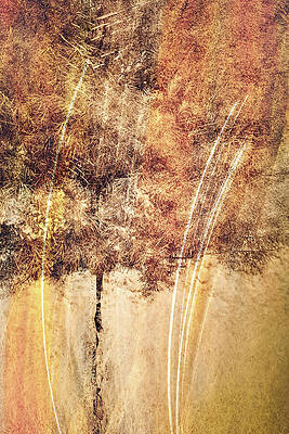 Color Wall Art featuring the photograph Soul Of Fall by Ursula Abresch