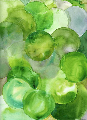 Watercolor Painting - Sour Apples by Elizabeth Reich