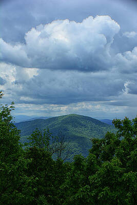 South District Shenandoah Buck Mountain Print