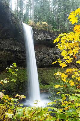 Oregon Photograph - South Falls-2 by Diane Moller
