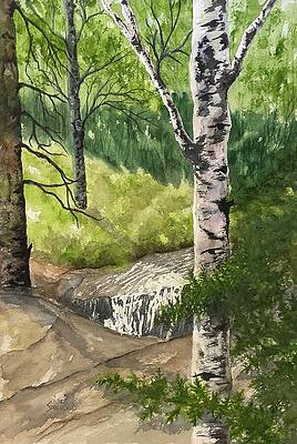 Tree Wall Art featuring the painting South Fork Of Buffalo Creek by Judy Strickland