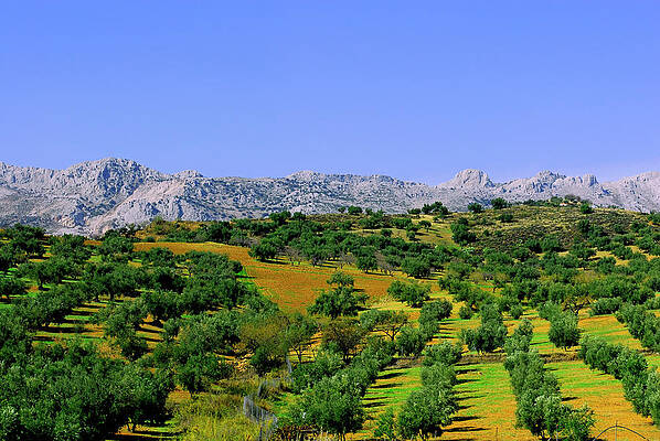 Sky Wall Art featuring the photograph South Spain by Severija Kirilovaite