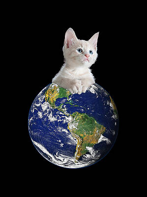 Cool Wall Art featuring the digital art Space Kitten Ruler Of Earth Funny by Flippin Sweet Gear