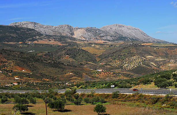 Summer Wall Art featuring the photograph Spain,near Malaga by Severija Kirilovaite
