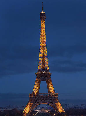 Wall Art featuring the photograph Sparkle On by Rebecca Herranen