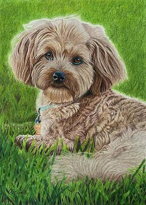 Green Drawing - Sparky by Marlene Little