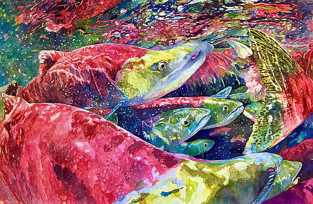 Painting - Spawning Kokanee by Grant Nixon