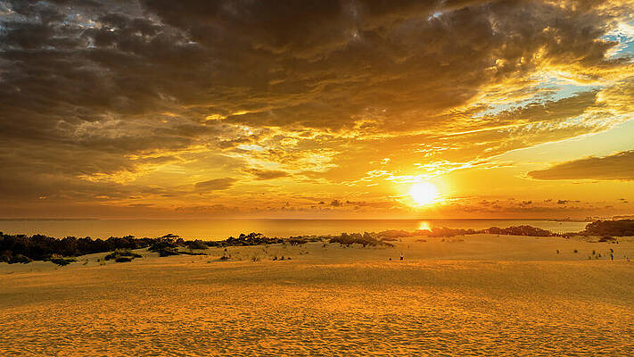 Golden Sunset Over Sand Dunes Wall Art