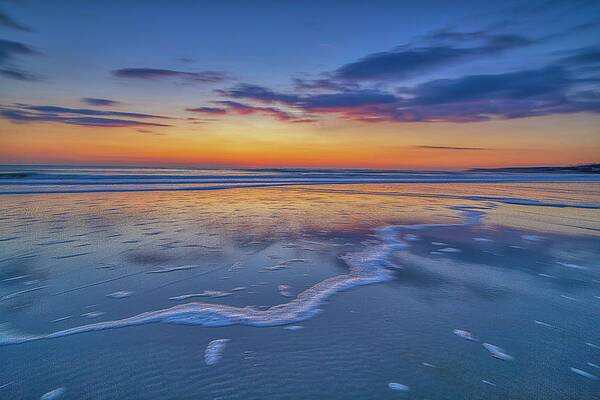 Photograph - Speechless by Penny Polakoff