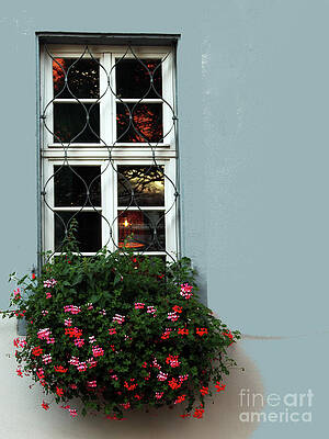 Wall Art featuring the photograph Speyerer Bluten by Rick Locke - Out of the Corner of My Eye