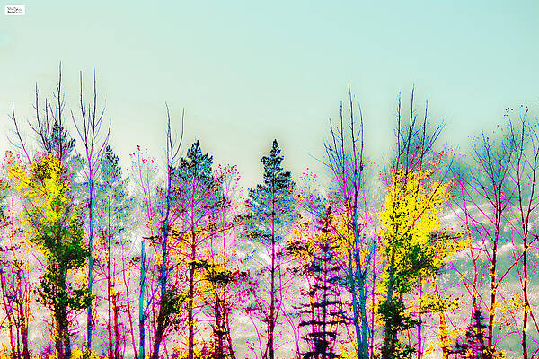 Wall Art featuring the photograph Sk- Spiced Up by Alex John Bergerman