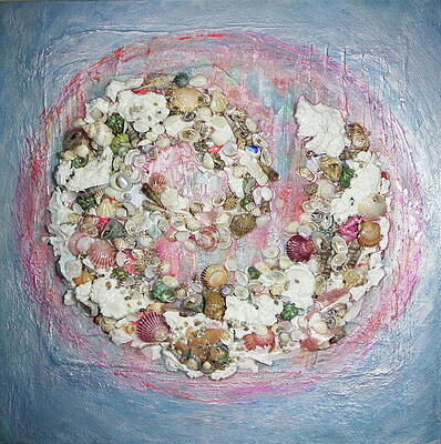 Vibrant Seashell Arrangement Wall Art