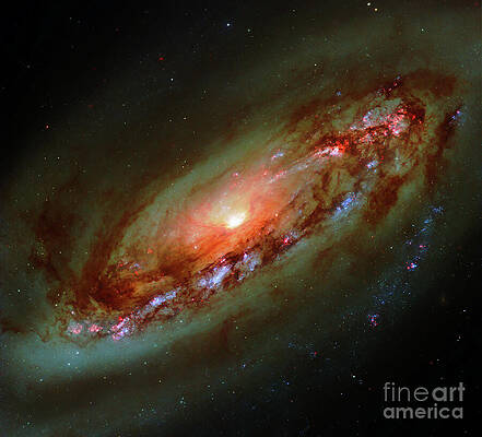 Spiral Galaxy in Vibrant Colors Photograph