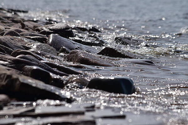 Michigan Photograph - Splish Splash Bokeh by Vi Ray