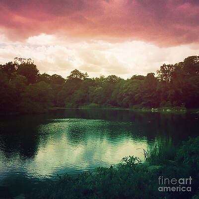 Tree Wall Art featuring the photograph Spooky Gothic Lake by Onedayoneimage Photography