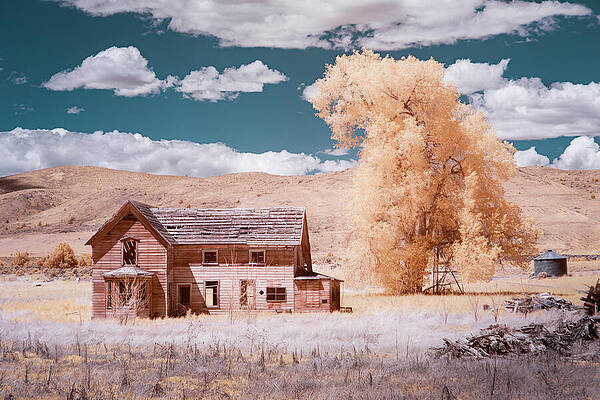 American Wall Art featuring the photograph Spooky Old House False Color by Mike Lee