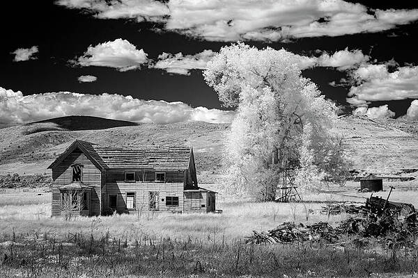 American Wall Art featuring the photograph Spooky Old House In Invisible Light by Mike Lee