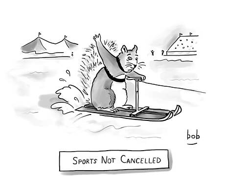 Limit Drawing - Sports Not Cancelled by Bob Eckstein