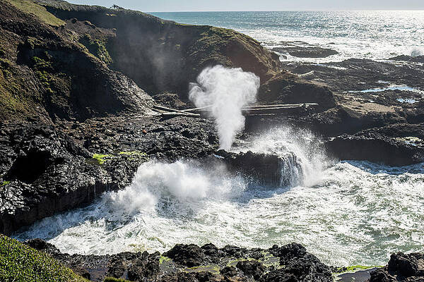 Oregon Photograph - Spouting Horn by Diane Moller