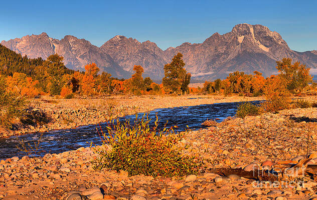 Wall Art featuring the photograph Spread Creek Autumn Foliage Morning by Adam Jewell