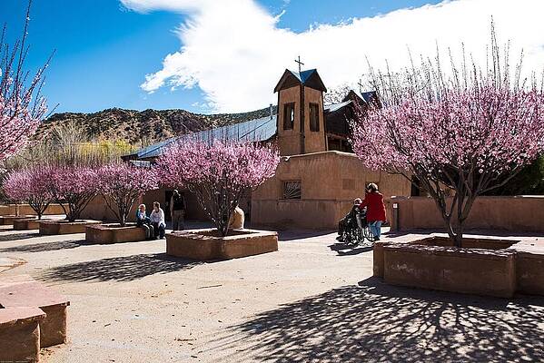 Spring Photograph - Spring Blossoms And Morning Pilgrims At Chimayo by Tom Cochran