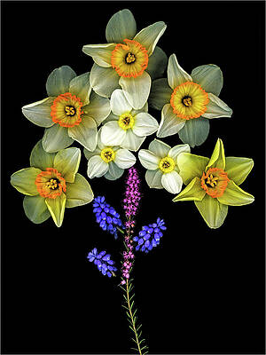 Beautiful Photograph - Spring Bouquet by Jean Noren