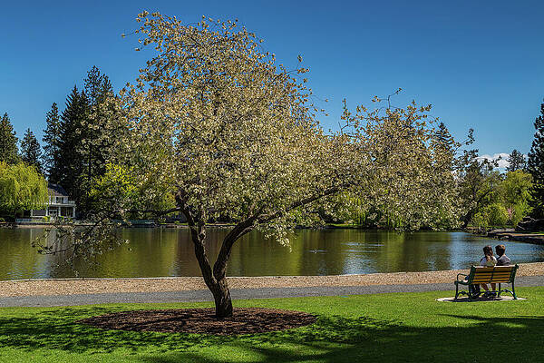 Oregon Photograph - Spring Break by Tim Lyden