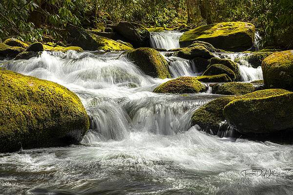 Appalachia Wall Art featuring the photograph Spring Cascades In The Smokies by Theresa D Williams Smoky Mountains