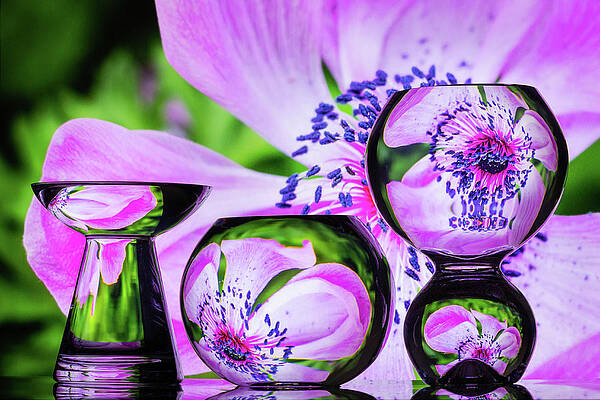 Abstract Wall Art featuring the photograph Spring Celebration by Elvira Peretsman