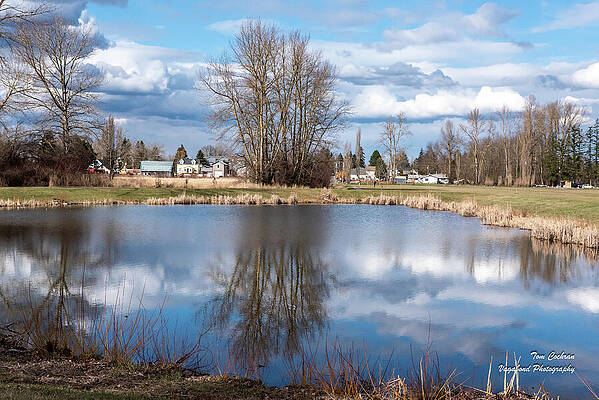 Spring Photograph - Spring Clouds Reflected In VanderYacht Park by Tom Cochran