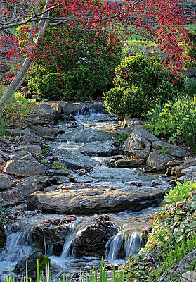 Wall Art featuring the photograph Spring Creek by Gina Fitzhugh
